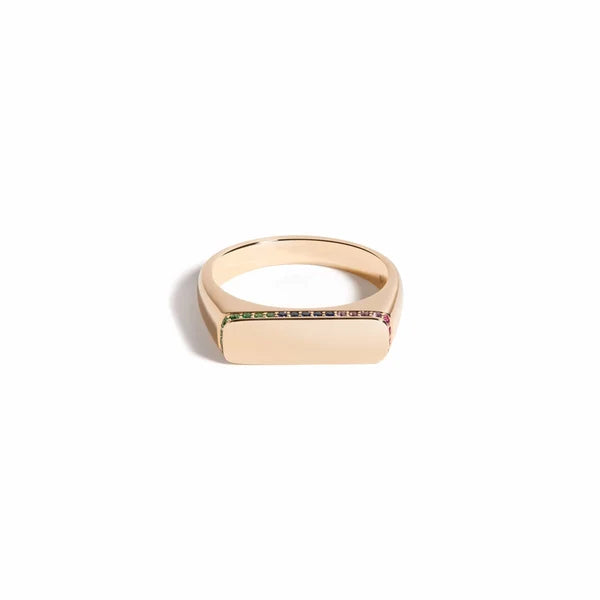 The Blank Slate Ring - Rainbow by Mined + Found