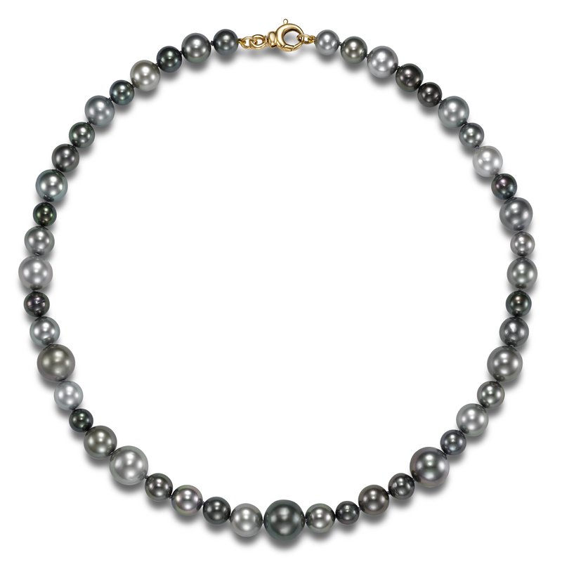 Tahitian Pearl Viva Necklace by Mastoloni Pearls available at Talisman Collection Fine Jewelers in El Dorado Hills, CA and online. This classically-designed necklace showcases an exquisite strand of multicolor pearls from 8-14 mm in diameter, sourced from the vibrant waters of Tahiti. At 20" in length, it's perfect for making a statement without feeling too heavy. The secure gold plated lobster clasp ensures this necklace will stay in place, so you can confidently wear it day or night. 