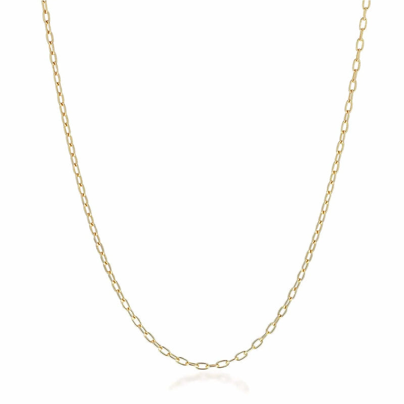 Petite Long Links Necklace By Mined + Found