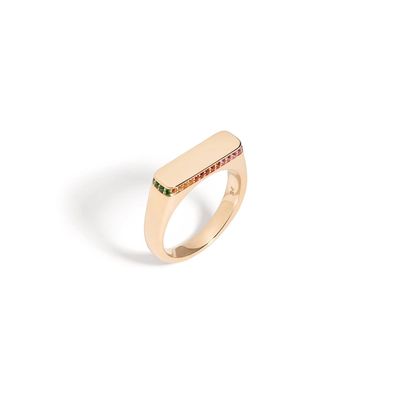 The Blank Slate Ring - Rainbow by Mined + Found