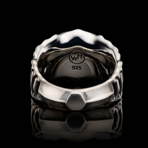 Sterling Oxidized Meteorite 'Echelon' Ring Sz 10 by William Henry available at Talisman Collection Fine Jewelers in El Dorado Hills, CA and online