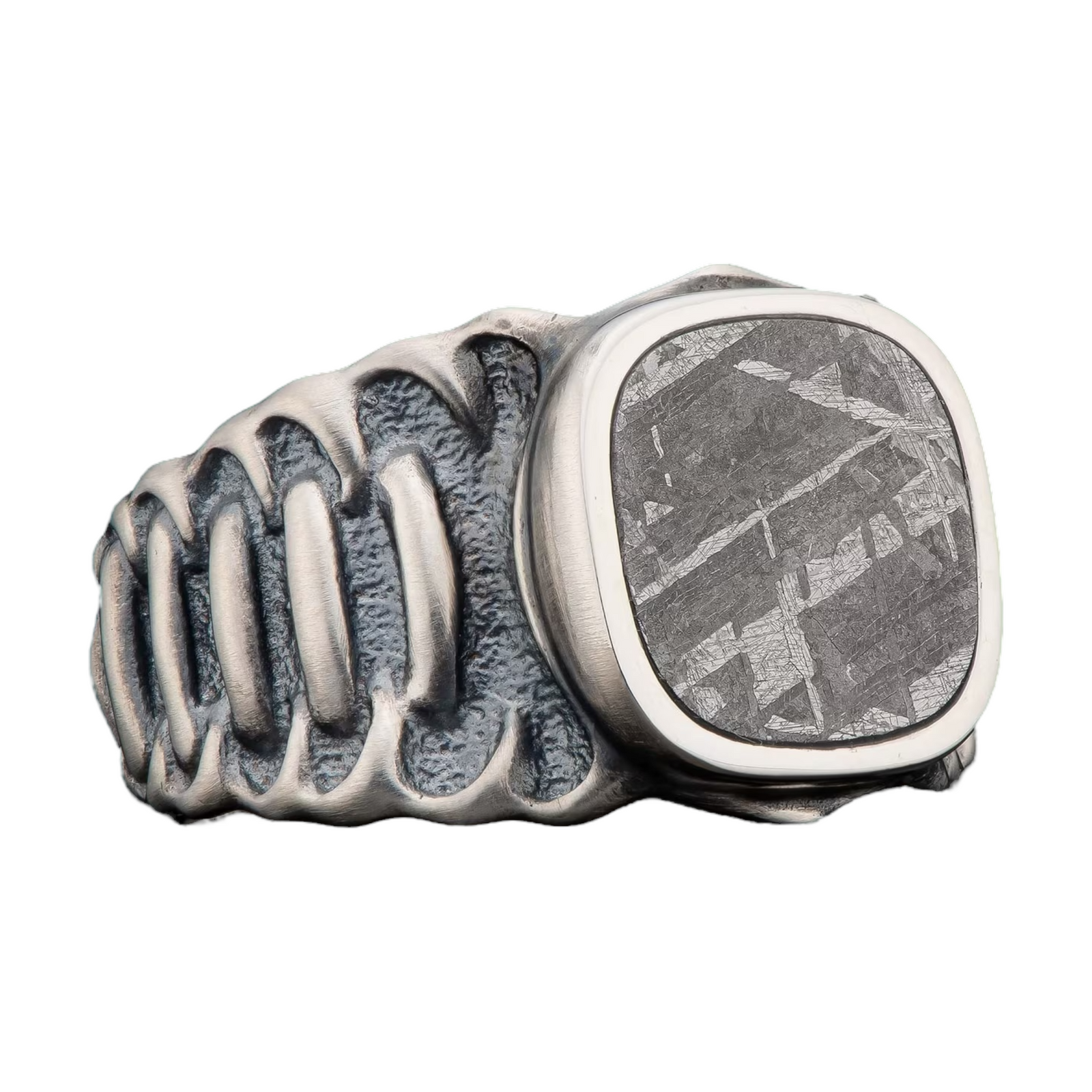 Sterling Oxidized Meteorite 'Echelon' Ring Sz 10 by William Henry available at Talisman Collection Fine Jewelers in El Dorado Hills, CA and online