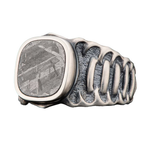 Sterling Oxidized Meteorite 'Echelon' Ring Sz 10 by William Henry available at Talisman Collection Fine Jewelers in El Dorado Hills, CA and online