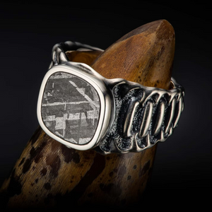 Sterling Oxidized Meteorite 'Echelon' Ring Sz 10 by William Henry available at Talisman Collection Fine Jewelers in El Dorado Hills, CA and online