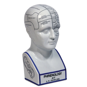 Authentic Models Phrenology Head - Talisman Collection Fine Jewelers